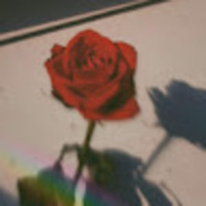 Meet your Posher, Lilly